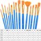 Acrylic Paint Brush Set, 60 pcs Nylon Hair Paint Brushes for All Purpose Oil Watercolor Face Body Rock Painting Artist, Small Paint Brush Kits for Kids Adult Drawing